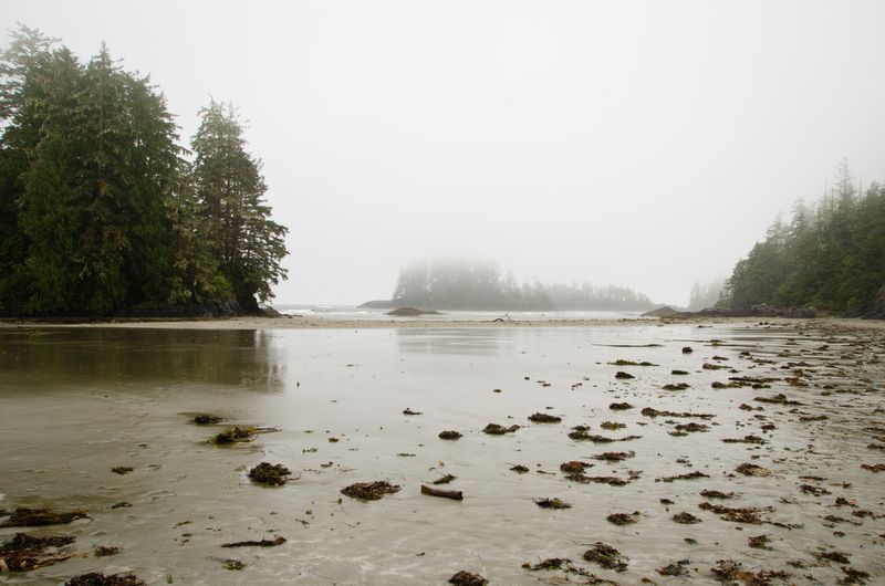 Pacific Rim National Park Reserve