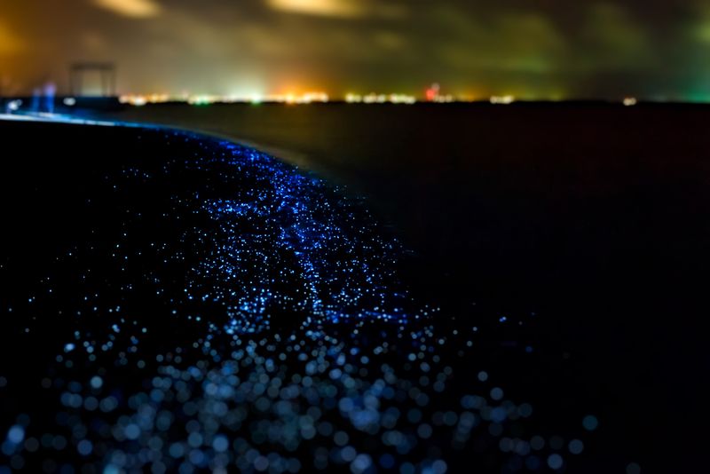Sea of Stars, Vaadhoo Island, Maldives