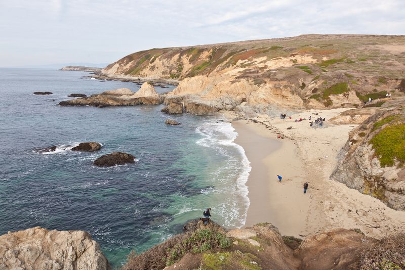 Sonoma Coast State Park