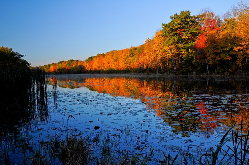 Photo by: Barb Redford via Halton Hills Camera Club