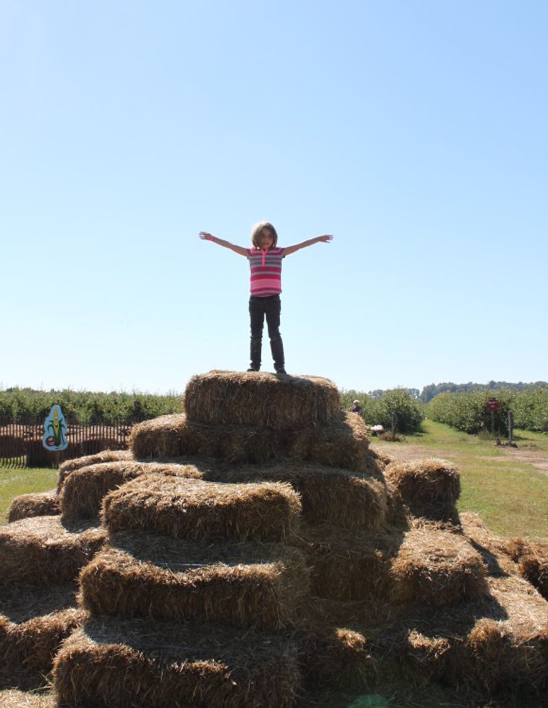 Photo by: Thiessen Apple Orchard