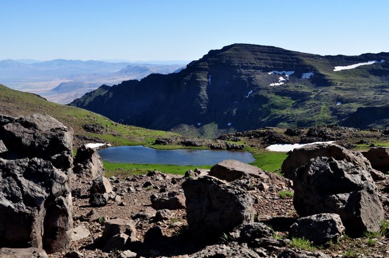 Photo by: The Radical Capitalist