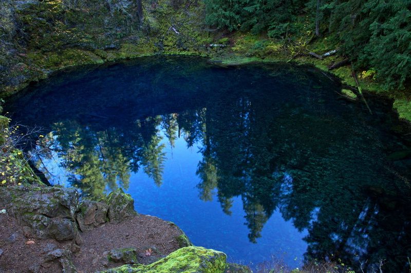 Photo by: Oregon Live