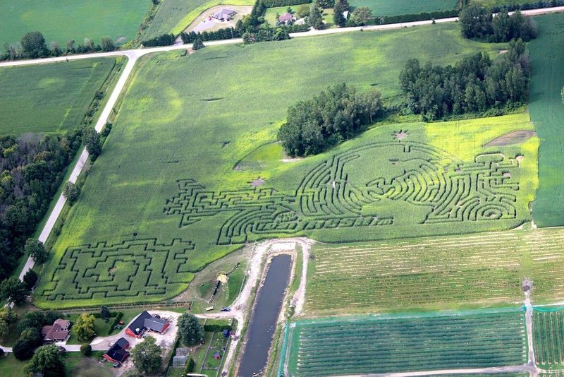 Photo by: Kustermans Berry Farms