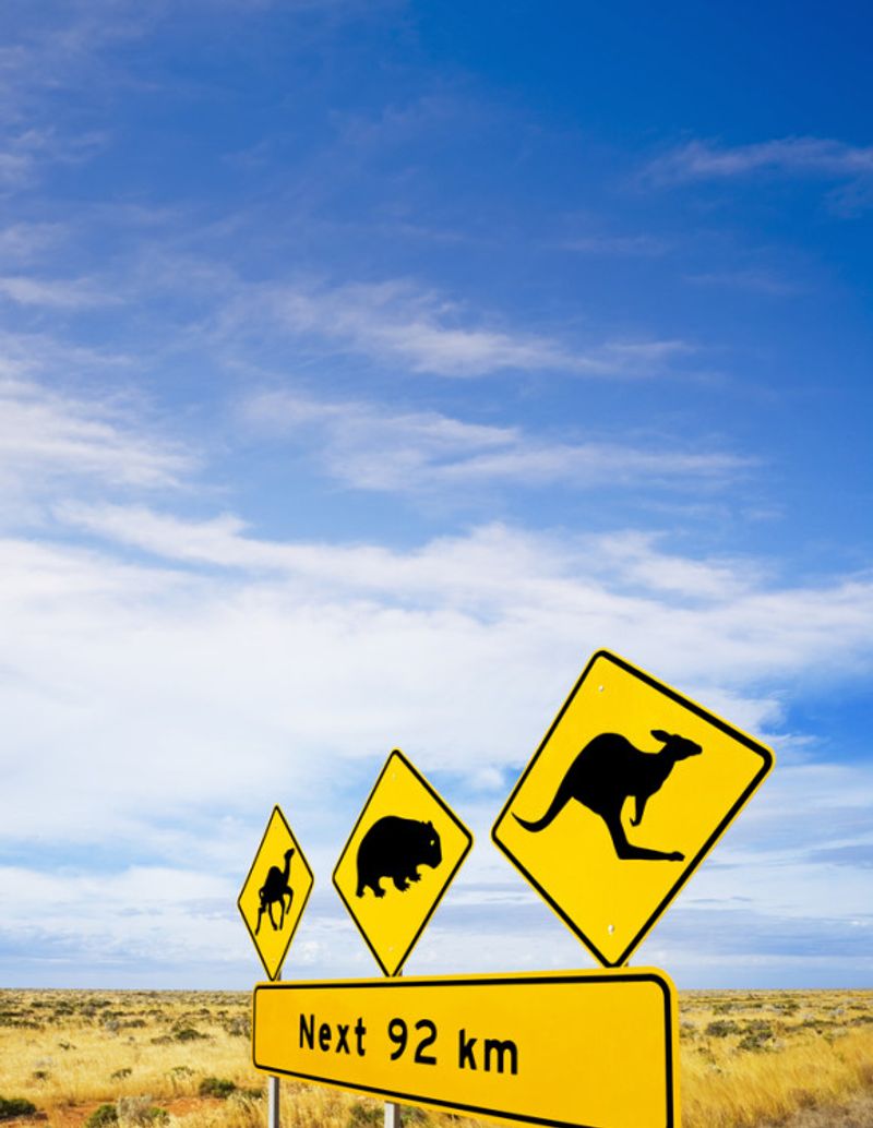 outback animal signs