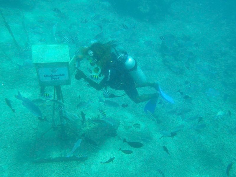 Photo by: Flickr/eidlog42