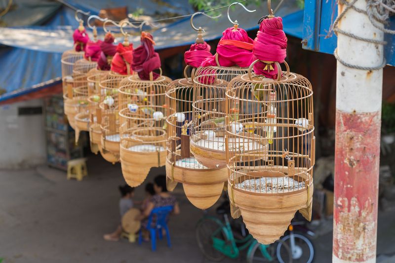 Hanoi Photography / Shutterstock.com