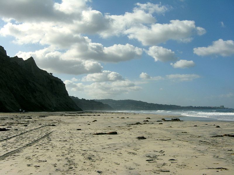 "Blacks-Beach-View-South-La-Jolla" by Abeach4u - http://www.san-diego-beaches-and-adventures.com/blacks-beach-san-diego.html. Licensed under GFDL via Commons.