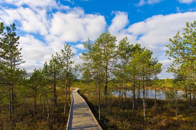 Lahemaa National Park Estonia