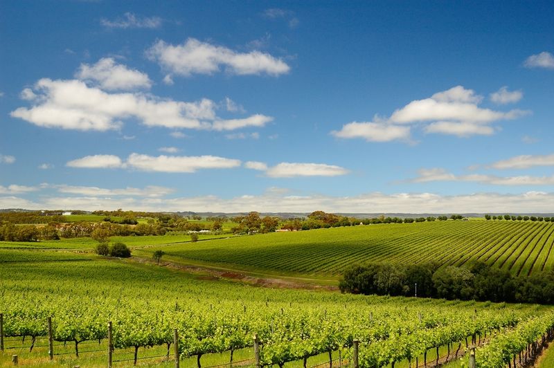 McLaren Vale, South Australia