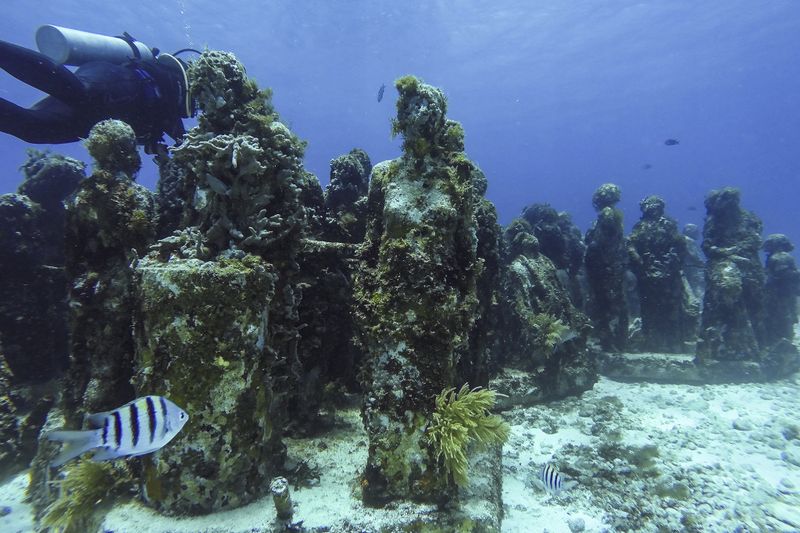 Photo by: Flickr/Pablo A. Arias Cid