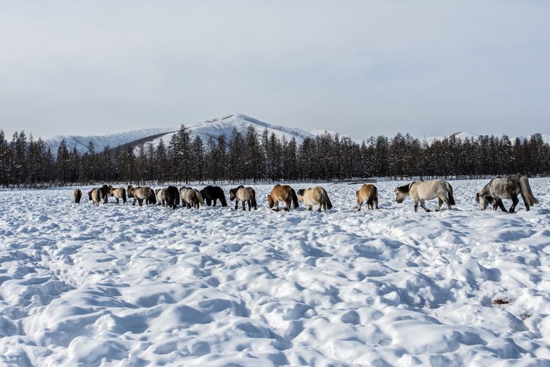 Oymyakon, Russia