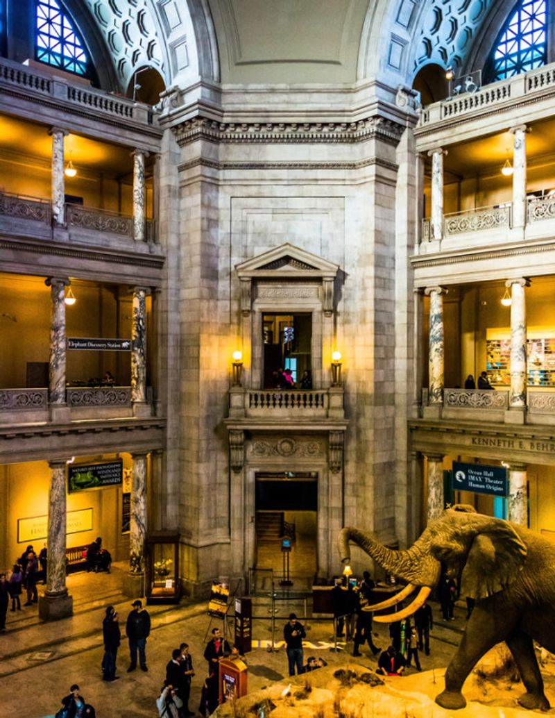 Smithsonian National Museum of Natural History Washington