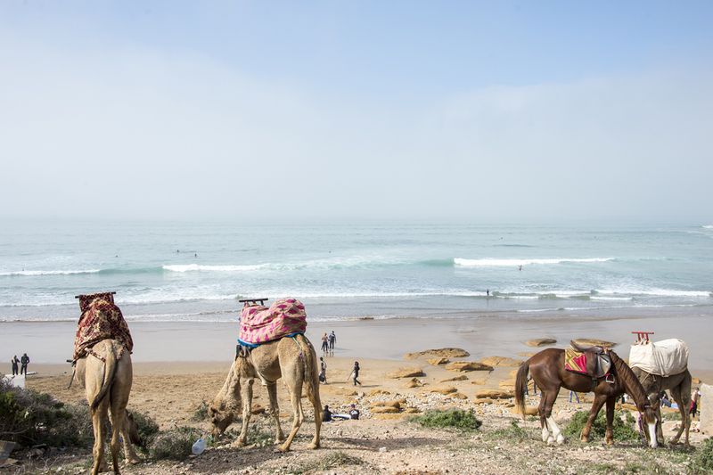 Surfing Morocco, Africa