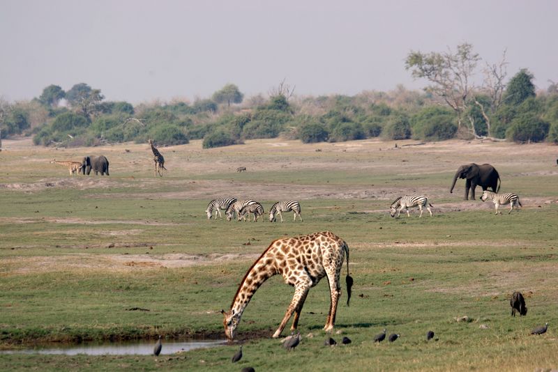 Botswana