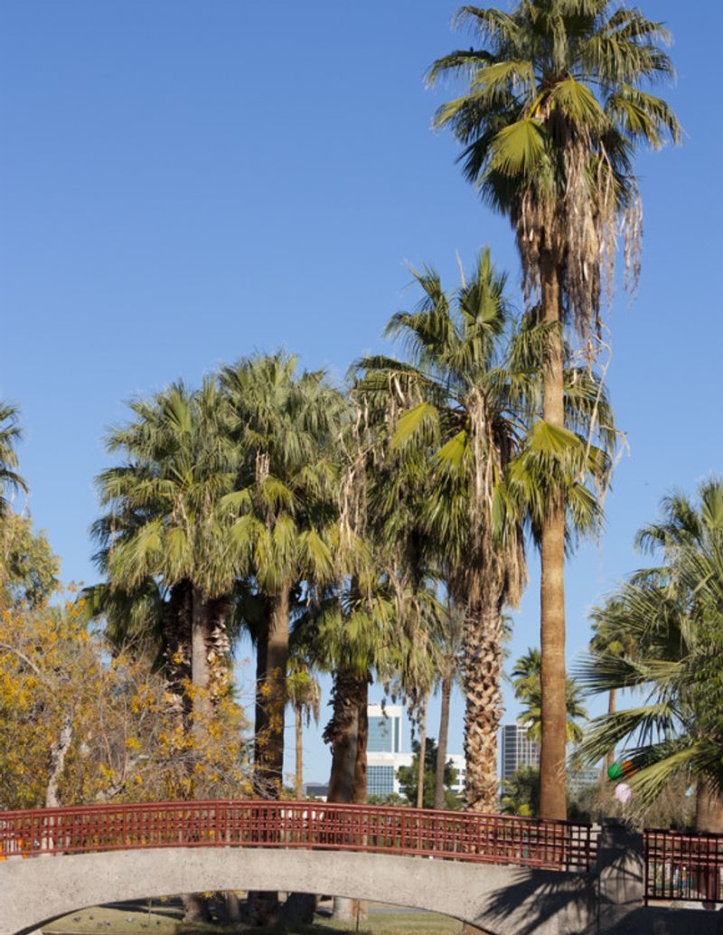 Encanto Park, Phoenix