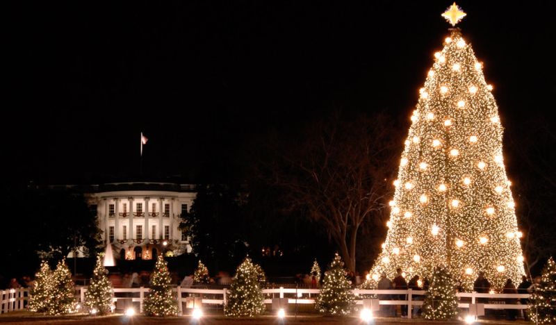 National Christmas Tree Washington