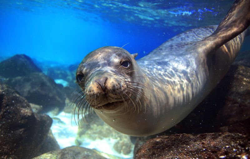 Best Free (or Cheap) Things to Do in The Galapagos