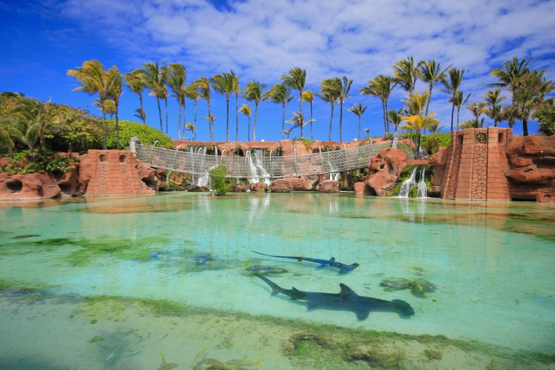 Sharks Atlantis resort