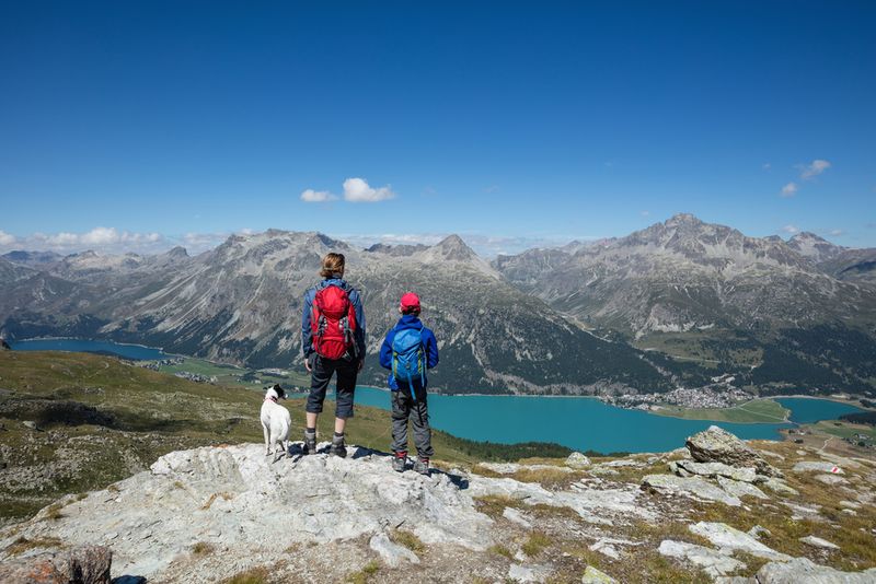 dog in engadine switzerland