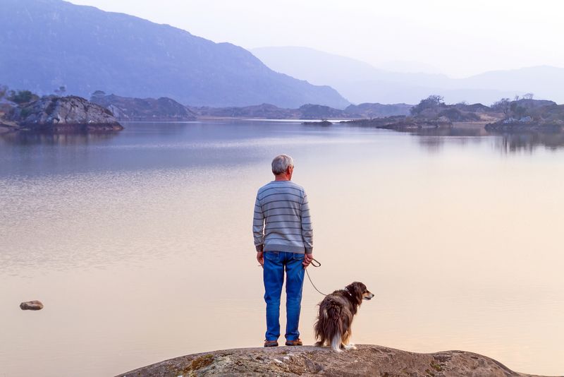 killarney national park with dog