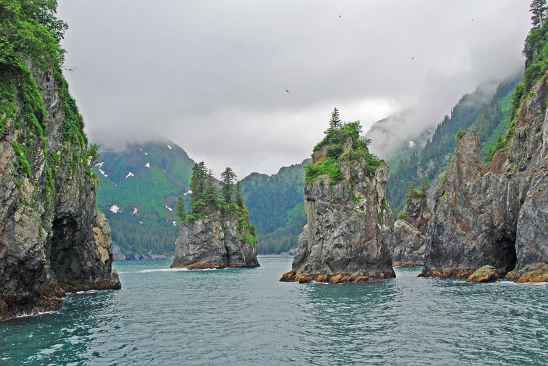 Kenai Fjords National Park