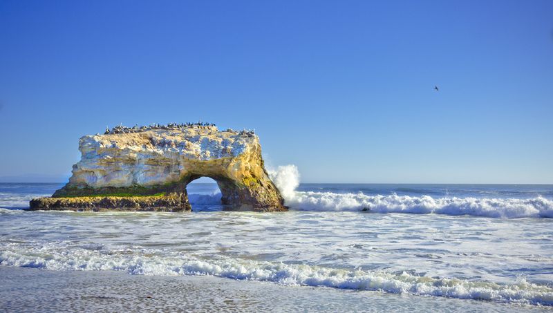 Natural Bridges State Beach