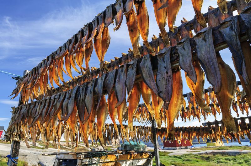 Dried Fish Greenland