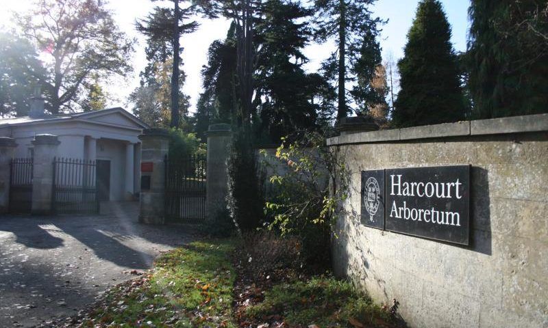 Harcourt Arboretum Oxford