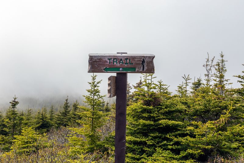 Philip Mowbray / Shutterstock.com