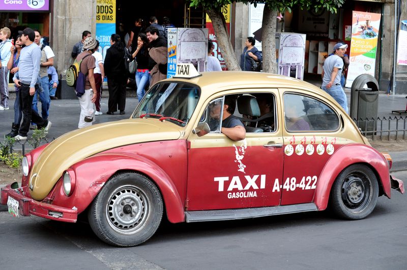 ChameleonsEye / Shutterstock.com