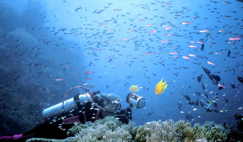 Beqa Lagoon fiji