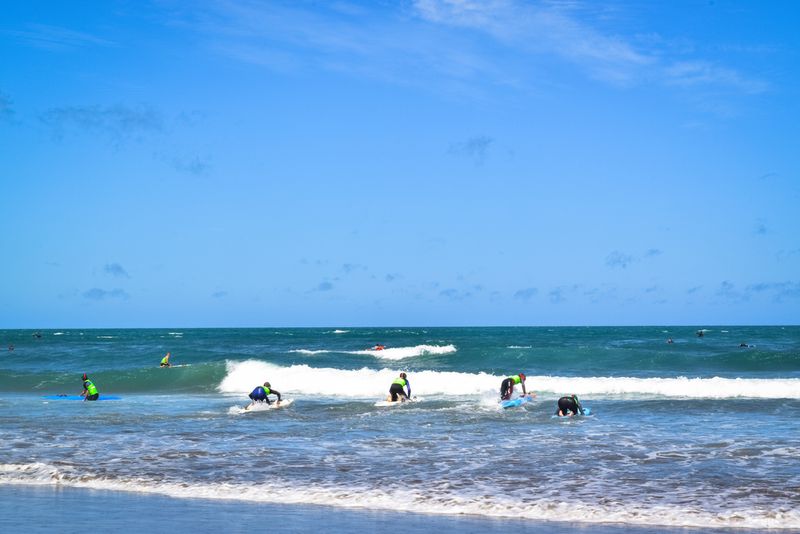 Piha Beach, Auckland, New Zealand