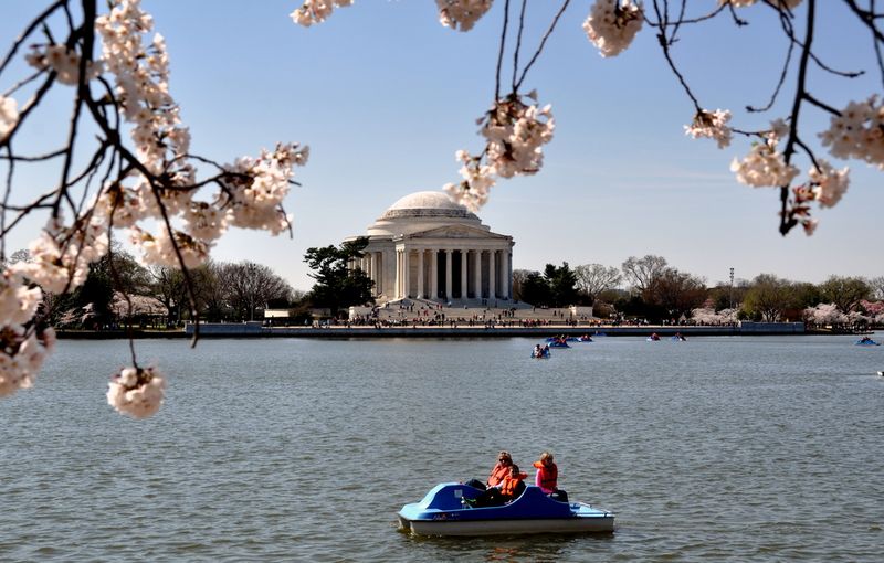 Tidal Basin washington