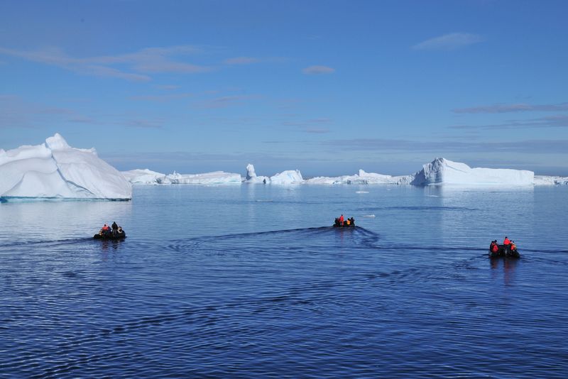 Zodiac Antarctica