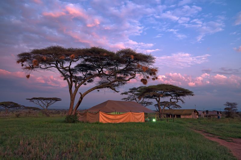 Serengeti camp