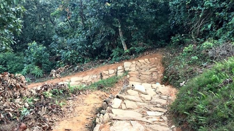 The path leading up through the forest towards the Pagoda