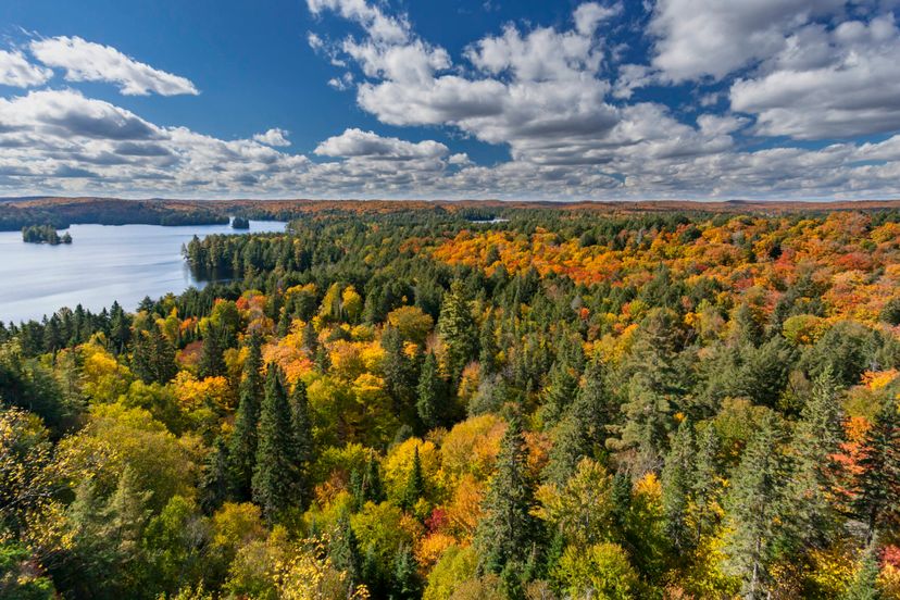 Cache Lake in Algonquin Park&nbsp;