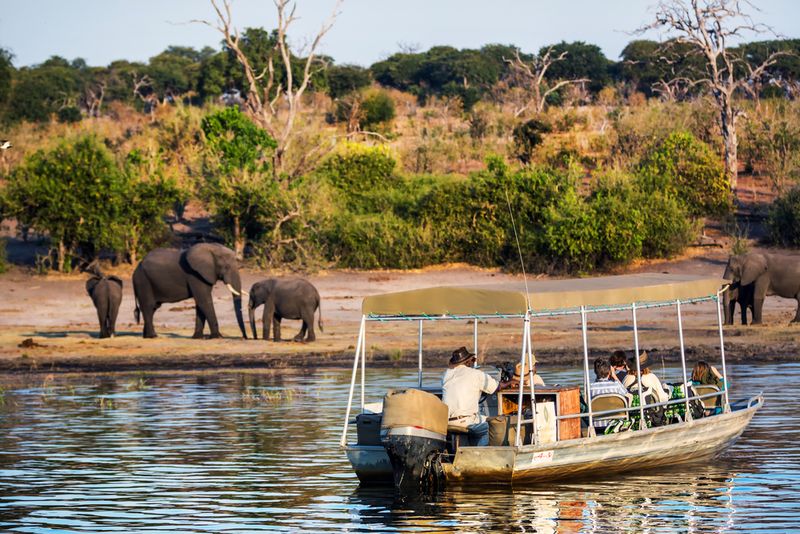 7 Things To See And Do In Botswana Mapquest Travel 7221