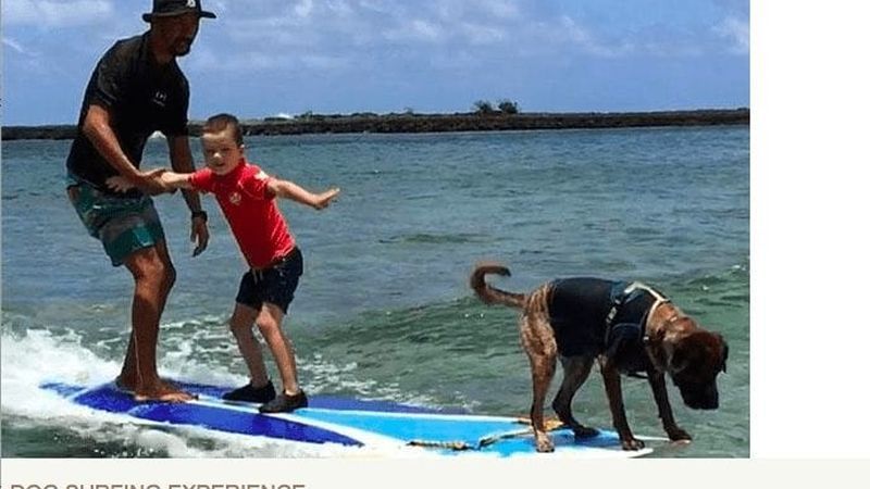 Hawaiian Surf Dog