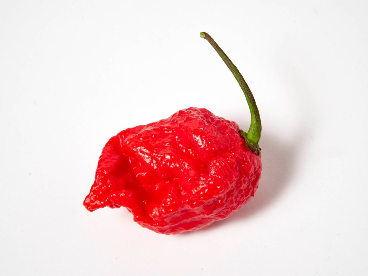 Bullet Chile Peppers Information and Facts