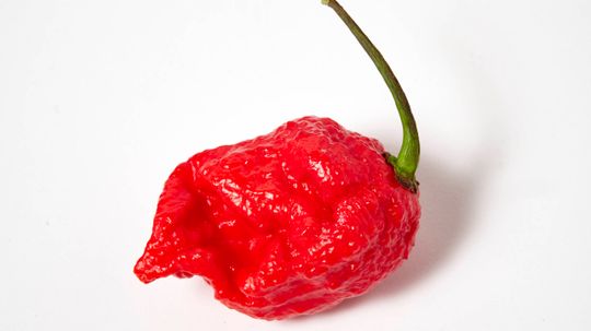 The 22 Hottest Peppers in the World