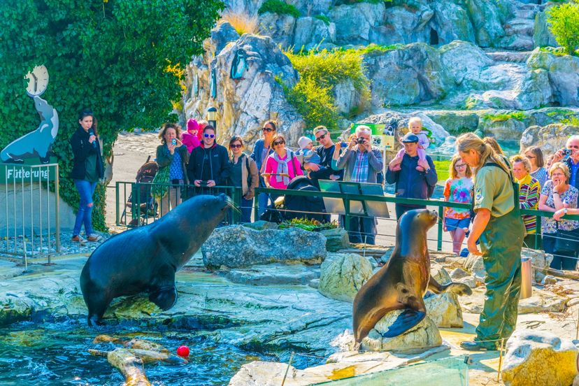 The Best Zoos In The World | MapQuest Travel