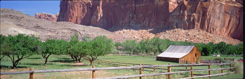 Horse & Pack Animal Use - Capitol Reef National Park (U.S. National Park  Service)