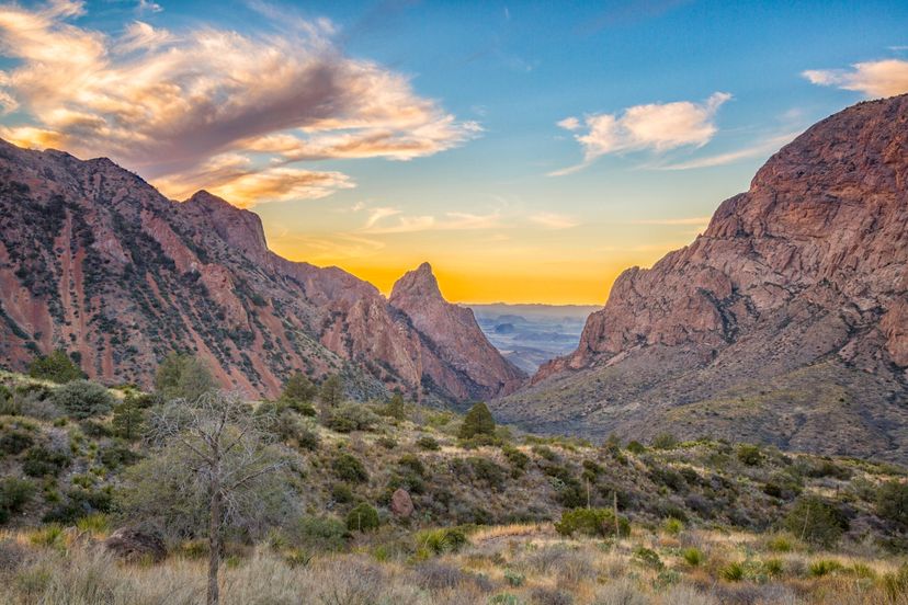 are dogs allowed in big bend national park texas