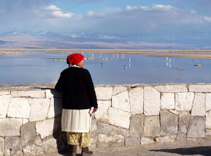 Atacama Salt Flats. Photo by Shelley Seale