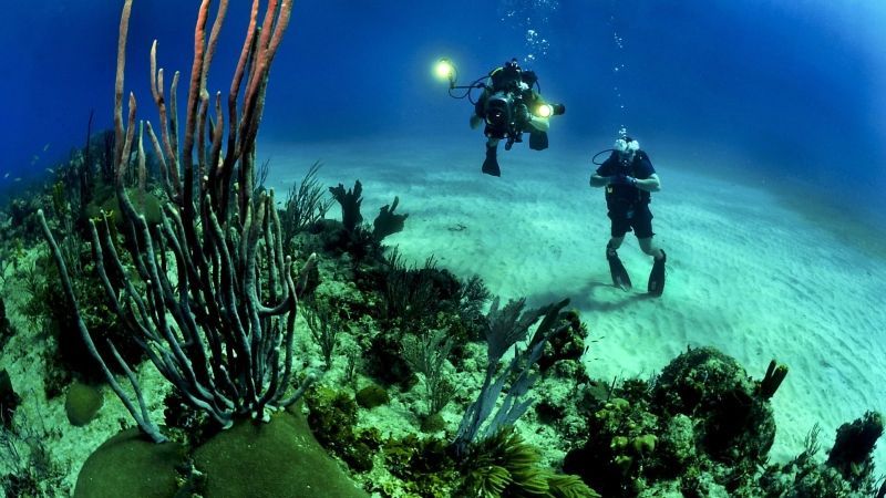 Diving in Cayman Islands