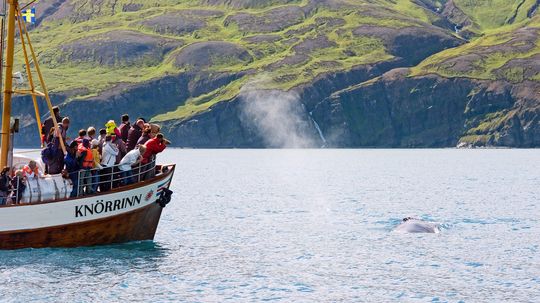 10 Things to See and Do in Iceland