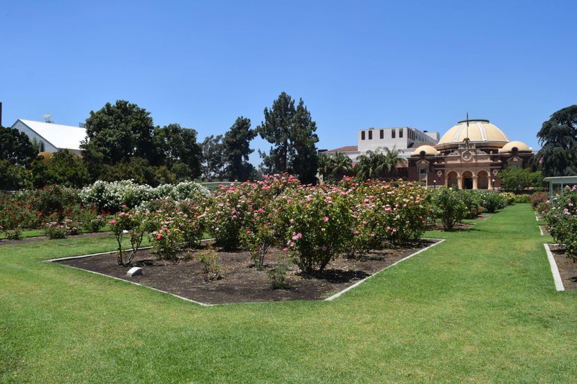 Exposition Park Rose Garden