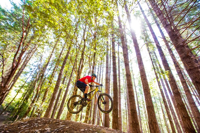 Whistler Mountain Bike Park 102: A Beginner to Intermediate Guide